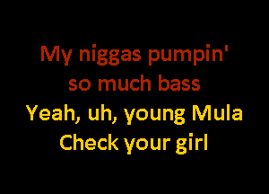 My niggas pumpin'
so much bass

Yeah, uh, young Mula
Check your girl