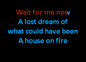 Wait for me now
A lost dream of

what could have been
A house on fire