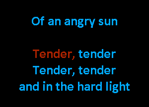 Of an angry sun

Tender, tender
Tender, tender
and in the hard light