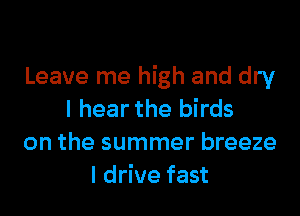 Leave me high and dry

I hear the birds
on the summer breeze
I drive fast