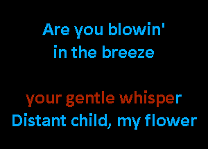 Are you blowin'
in the breeze

your gentle whisper
Distant child, my flower