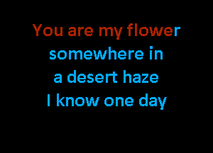 You are my flower
somewhere in

a desert haze
I know one day