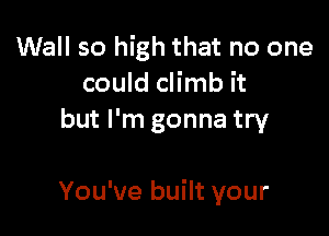 Wall so high that no one
could climb it
but I'm gonna try

You've built your