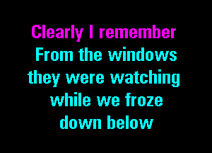 Clearly I remember
From the windows
they were watching
while we froze
down below
