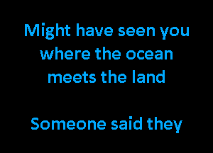 Might have seen you
where the ocean
meets the land

Someone said they