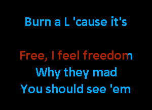 Burn a L 'cause it's

Free, I feel freedom
Why they mad
You should see 'em