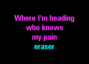 Where I'm heading
who knows

my pain
eraser