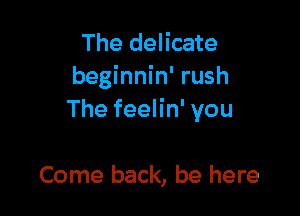 The delicate
beginnin' rush

The feelin' you

Come back, be here