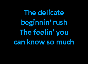 The delicate
beginnin' rush

The feelin' you
can know so much