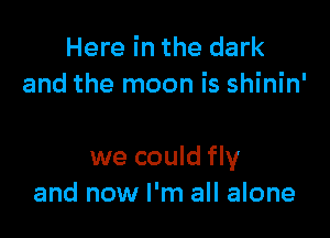 Here in the dark
and the moon is shinin'

we could fly
and now I'm all alone