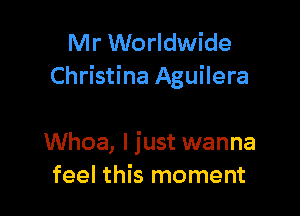 Mr Worldwide
Christina Aguilera

Whoa, I just wanna
feel this moment