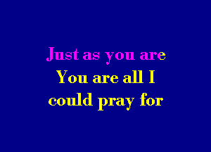 Just as you are

You are all I
could pray for