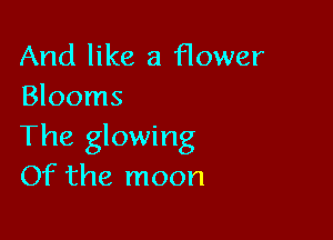 And like a flower
Blooms

The glowing
Of the moon