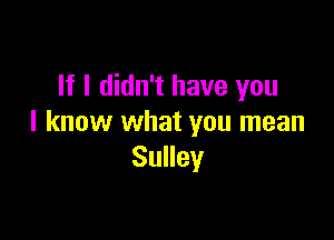 If I didn't have you

I know what you mean
Sulley