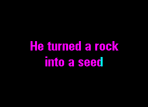 He turned a rock

into a seed