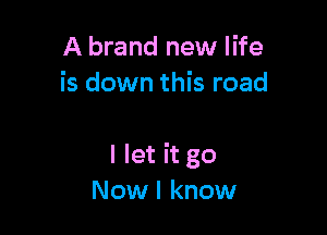 A brand new life
is down this road

I let it go
Now I know