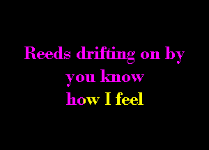Reeds drifting on by

you know
how I feel