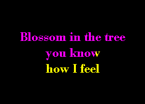 Blossom in the iree

you know
how I feel