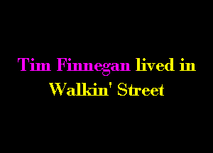 Tim Finnegan lived in

VValkin' Street