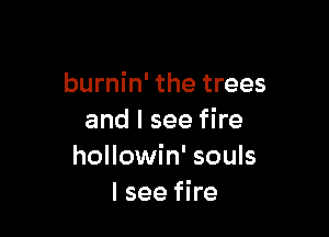 burnin' the trees

and I see fire
hollowin' souls
I see fire