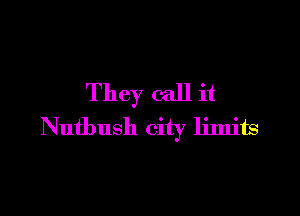 They call it

Nutbush city limits