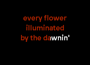 every flower
illuminated

by the dawnin'