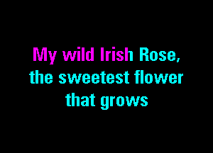 My wild Irish Rose,

the sweetest flower
that grows