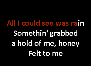 All I could see was rain

Somethin' grabbed
a hold of me, honey
Felt to me