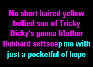 No short haired yellow
bellied son of Tricky
Dicky's gonna Mother

Hubbard soft soap me with
iust a pocketful of hope