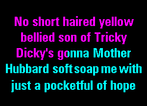 No short haired yellow
bellied son of Tricky
Dicky's gonna Mother
Hubbard soft soap me with

iust a pocketful of hope