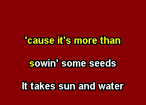 'cause it's more than

sowin' some seeds

It takes sun and water