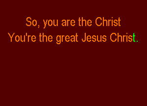 So, you are the Christ
You're the great Jesus Christ.