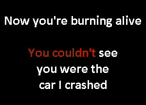 Now you're burning alive

You couldn't see
you were the
car I crashed