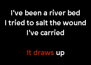 I've been a river bed
ltried to salt the wound
I've carried

It draws up