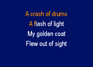 A crash of drums
A flash of light
My golden coat

Flew out of sight