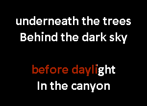 underneath the trees
Behind the dark sky

before daylight
In the canyon
