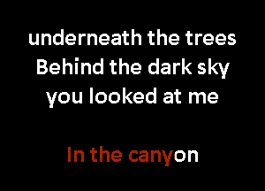 underneath the trees
Behind the dark sky

you looked at me

In the canyon