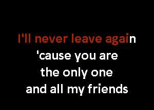 I'll never leave again

'cause you are
the only one
and all my friends