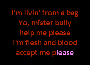 I'm livin' from a bag
Yo, mister bully

hel p me please
I'm flesh and blood
accept me please