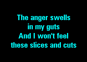 The anger swells
in my guts

And I won't feel
these slices and cuts