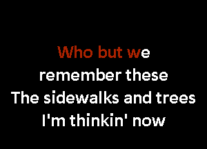 Who but we

remember these
The sidewalks and trees
I'm thinkin' now