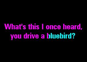 What's this I once heard,

you drive a bluebird?