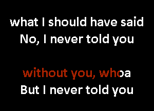 what I should have said
No, I never told you

without you, whoa
But I never told you