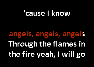 'cause I know

angels, angels, angels
Through the flames in
the fire yeah, I will go