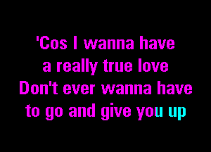 'Cos I wanna have
a really true love

Don't ever wanna have
to go and give you up