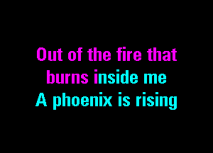 Out of the tire that

burns inside me
A phoenix is rising