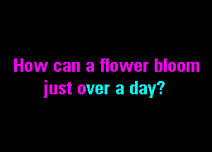How can a flower bloom

just over a day?