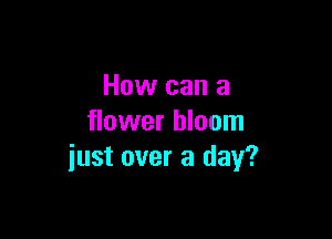 How can a

flower bloom
iust over a day?