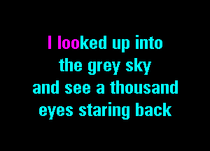 I looked up into
the grey sky

and see a thousand
eyes staring hack