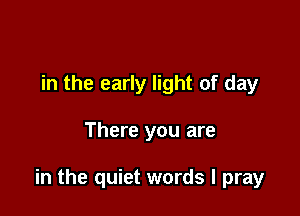 in the early light of day

There you are

in the quiet words I pray